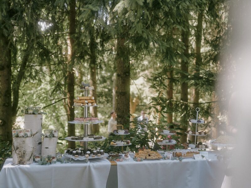 Hochzeit_Vicky Philipp_2025_Feier_0303-min